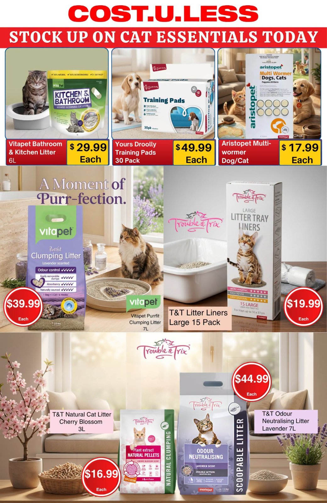 Stock Up on Cat Essentials Today