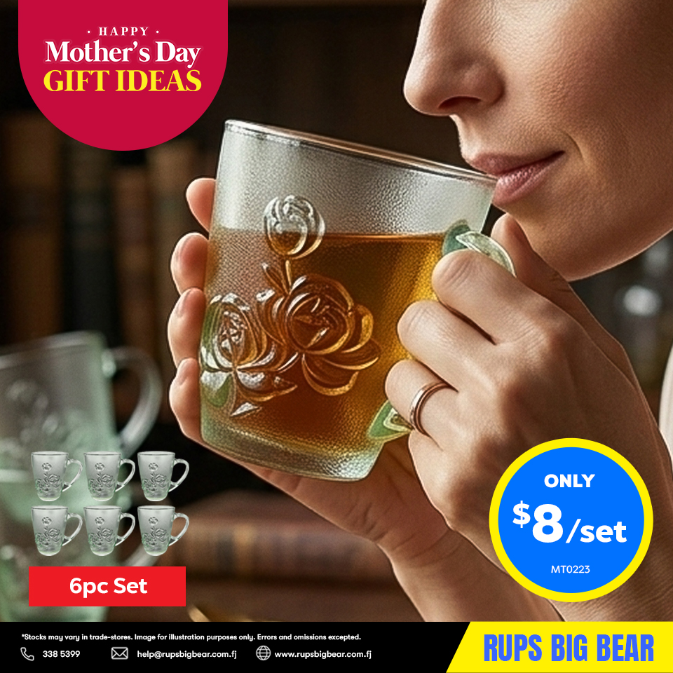 6pc Floral Glass Mug Set